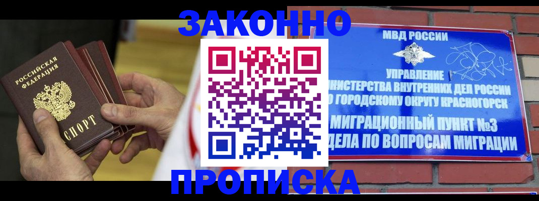 прописка для школы в Шали
